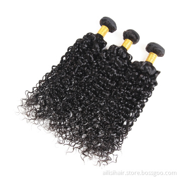 Cheap Bundle Hair Wet And Wavy Brazilian Human Hair Bundles With Closure Water Wave Bundles With Closure